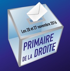 Les Primaires de la Droite et du Centre © pict rider