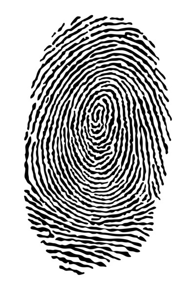 (c) Frog 974 - Fotolia.com