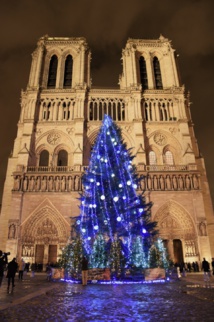 Inauguration du Sapin de Noël suédois sur le parvis de la cathédrale Notre-Dame à Paris. Inauguration du Sapin de Noël suédois sur le parvis de la cathédrale Notre-Dame à Paris.