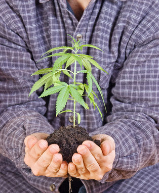 © milkovasa - Fotolia.com