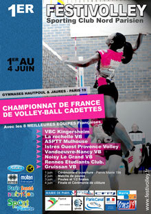 (c) Festi'volley