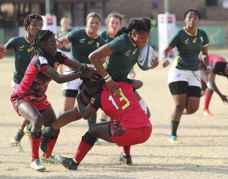 Rugby World Cup African Qualifiers : South Africa defeated Uganda on Friday in Johannesburg during the Rugby Africa Gold Cup © Rugby Africa. Rugby World Cup African Qualifiers : South Africa defeated Uganda on Friday in Johannesburg during the Rugby Africa Gold Cup © Rugby Africa.