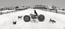 Here in the Distance.Solovski.White Sea, Russia 1992©Penti Sammallahti, courtesy Galerie Camera Obscura Here in the Distance.Solovski.White Sea, Russia 1992©Penti Sammallahti, courtesy Galerie Camera Obscura