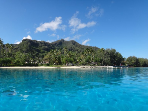 Note de la rédaction : Les ruines de l'ancien Club Med sur l'île de Moorea en Polynésie française - Juillet 2014 © JDD / Paris Tribune. Note de la rédaction : Les ruines de l'ancien Club Med sur l'île de Moorea en Polynésie française - Juillet 2014 © JDD / Paris Tribune.
