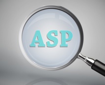 ASP : Agent de Surveillance de Paris © WavebreakmediaMicro - Fotolia.com