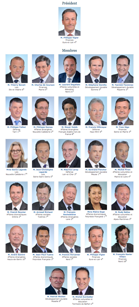 Les 27 députés du groupe UDI de la XIVe législature © capture d'écran Assemblée nationale