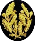 Détail du tricorne d'une préfète © DR