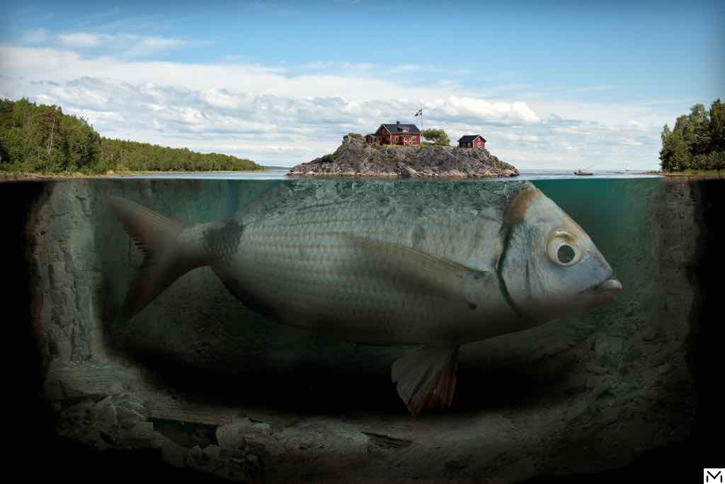 In Trompe l'oeil©Erik Johannson