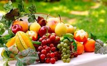 Les fruits ont la pêche !