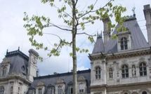 Ordre du jour du Conseil de Paris de février 2010