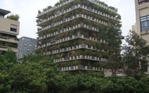 Paris à la VERTicale