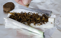 Paris cannabis