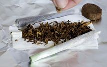 Commerce de cannabis depuis 2 semaines