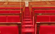 Les déclarations politiques du RUMP et de l'UMP remises à la présidence de l'Assemblée nationale